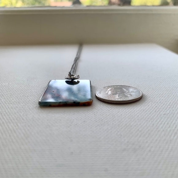 Natural Stone or Fossilized Plant Life Pendant w/ Stainless Steel Detail & Chain - Picture 9 of 9